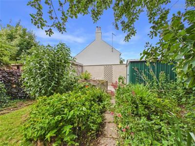 Picture 29